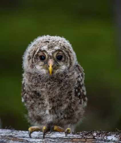 Untitled Collection #175202074