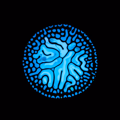 Item #39853347361311550538823328626004824816221754573894422864413753330790156992513 Media