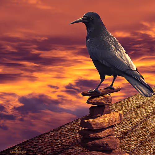 Item #79766767225734318577900366772134116135711362522494259260879660283679408652289 Media