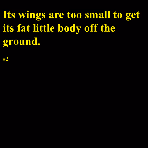 Item #40661491291090335685089867050782939135194500818897442450155946754342448529409 Media