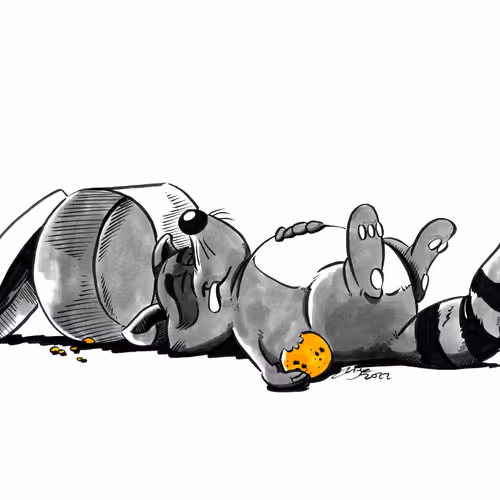 3578162296031442844442470411479910729523558748001061371772482231705194725377