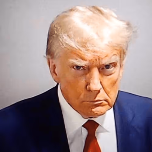 Trump Mugshot Open Edition