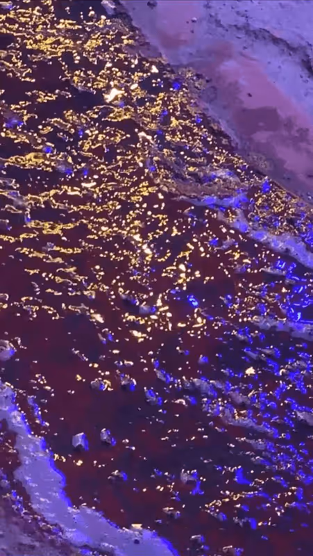 Item #62402000334580523921237358418718502457721815832787791947048085082590853201921 Media