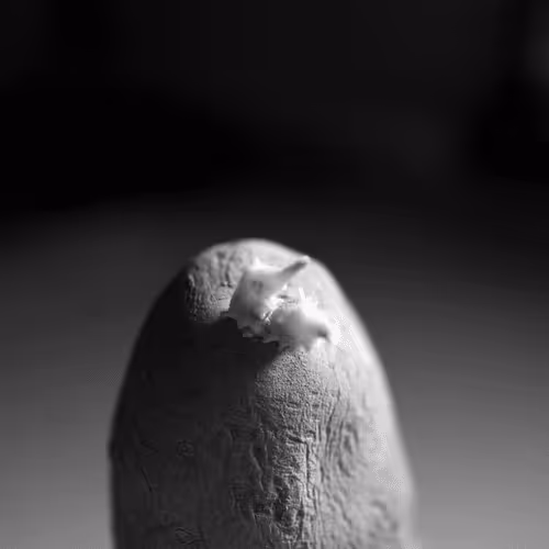 Item #106002847208740868609833758564864100377070191956822007780539652005648962420737 Media