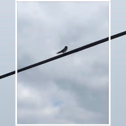 Sky #01