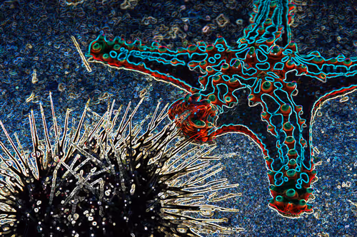 Item #112357457195153001497773786489249045252427376720708510106941895528749518028801 Media