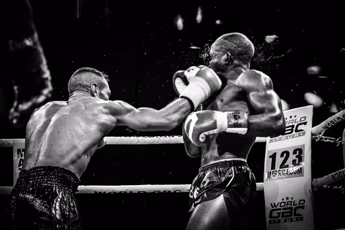 Item #7851364954592768897068665228163969148149524878586119406958365973356358926337 Media