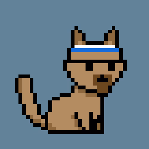 PunkCat #8151