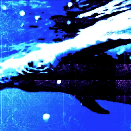 Item #8085303619386244432573876840035219611661664479722081005905304797834091954177 Media