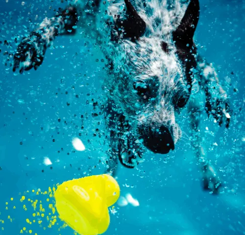 37123996989530421987136975137658183601992874580997828356353120944042796908545