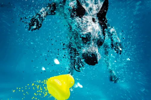 Item #37123996989530421987136975137658183601992874580997828356353120944042796908545 Media