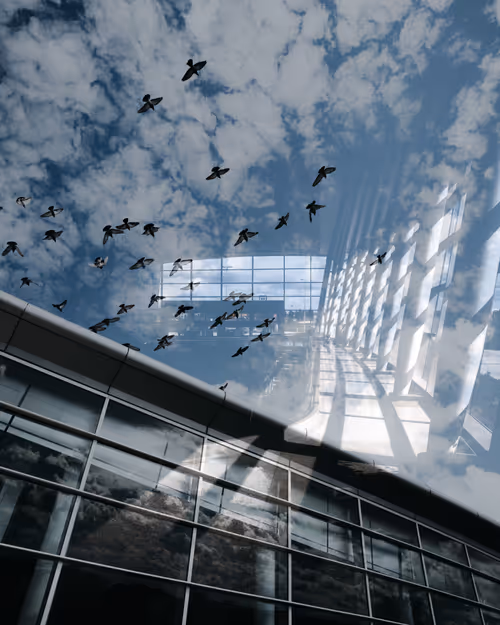 Item #70779496450561774149065871411418628716480212634684307993119665772819961085953 Media