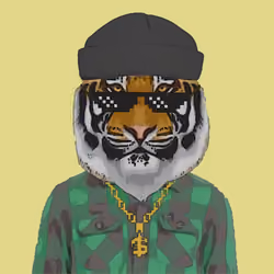 Tiger #12