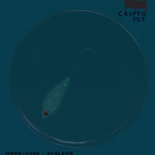 80222651933581901548922172864470920076001324330369819955385891536773366939649