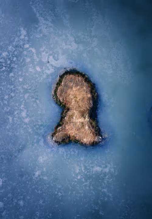 Item #56582553885224441089926055814048090400852822169914013821602266004228201775105 Media