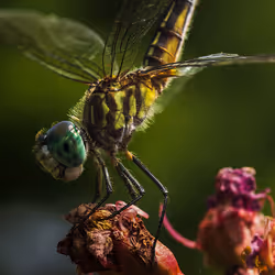 105090597216655980557633683149084672751347825439893935605656298041910585458689