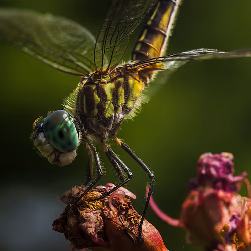 105090597216655980557633683149084672751347825439893935605656298041910585458689