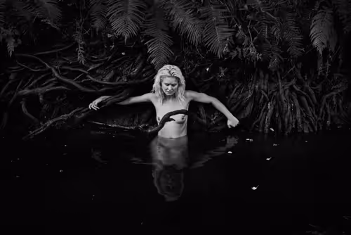 Item #81425468840217938130335513187731669853655760223415782332089084423949235781633 Media