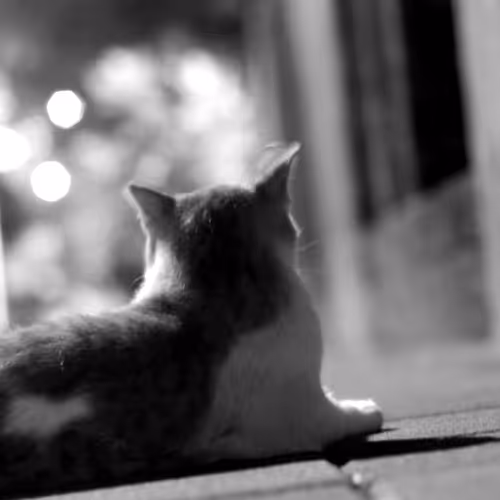 Item #105322358618701185533743754469895824107639028648078310589264470430106620264449 Media