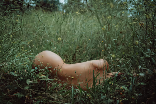 Item #61391337171317140422773218600803831211988989866451472612993262354879381241857 Media