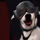 26669560696172333651893837037572868985015302531409861405365115182833421254657