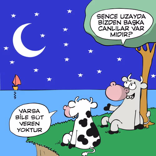 Item #69122917727831532385618958158964921467633342400804643146613699131491653517313 Media