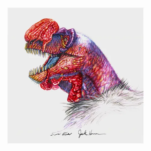 Item #22582927822880265950669941219355019494534003366966592492782895274257268342785 Media