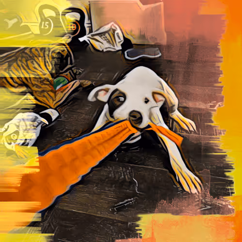 Untitled Collection #72838281