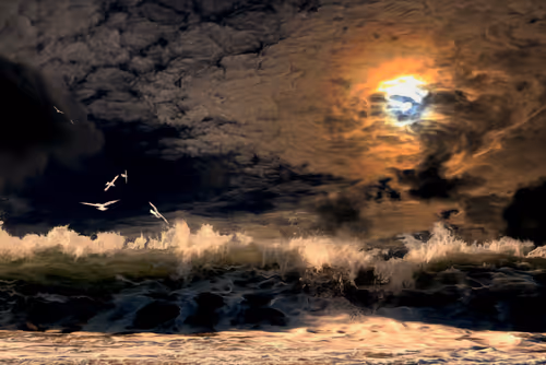 Item #94302163411569095589289123968041002973019814470584416299482263147214985494529 Media