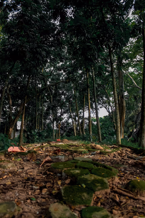 Item #58818844330179887995830317690881651137552461003549435356640226573668535238657 Media