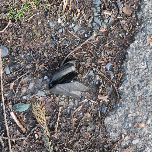 84285917725132974089305132725833135800452932529266957423738788455194447314945