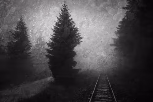 Item #40160686583094733528677484039903516258611509642019211679321071385801933193217 Media