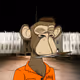 Bored Oiled Ape Yacht Club