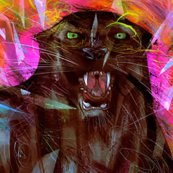 Frantic Panther
