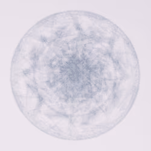 Item #56973419019861600765457047389383188289079904378367063993006434940239099199489 Media