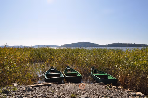 Item #101426067168456299143937339553149324000020213380678368810473940526431610077185 Media