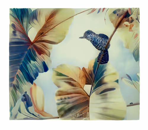 12489479975597442904075550683828375763724097924832948667486829907468112363521