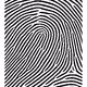 3799515490220879732882333409938015140683167415382329987461811145326194589697