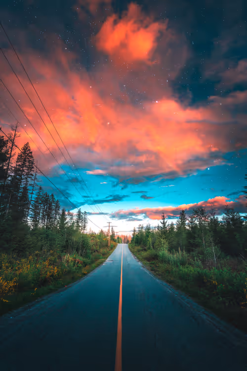 Item #62546128571173573861370652936856218284243546780344801453551937498126735114241 Media