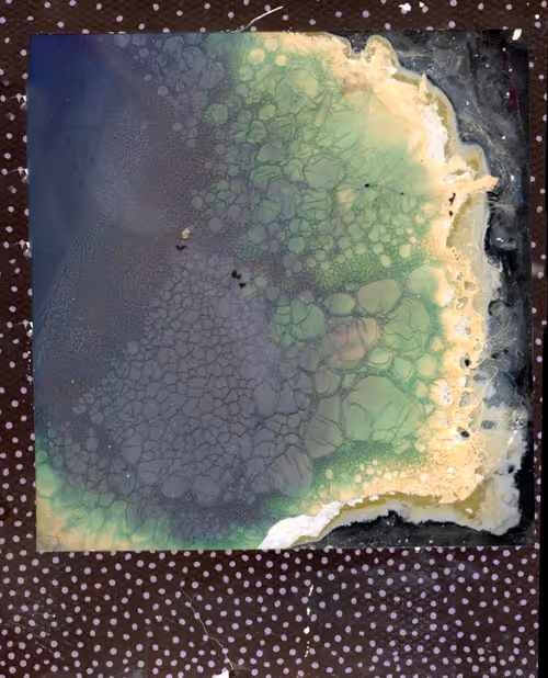 Item #70380901503112594242682332060958129293814408610490671047120815280777158721537 Media