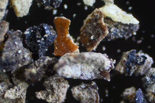 Item #83492542219966292281678492459995273614130213244614101144777663979540380123137 Media