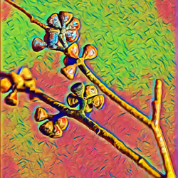 AINFTCreator Colors #00329