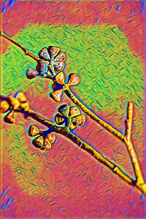 Item #75164984898551115248887010361709320867309151549896276985250493280267226054657 Media