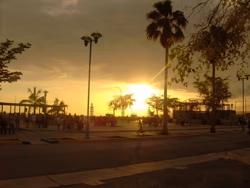 Item #40129036347338487732493830186327944618305484146391989675731997356729103810561 Media