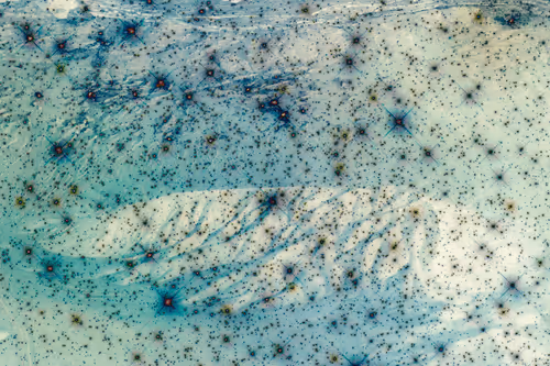 Item #41422342148868140680768064239679494498623977569440899321554379631876764598273 Media