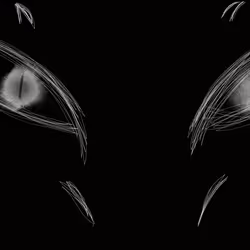 105288803146246383568198026595242847884682393867054726493611635687155103170561