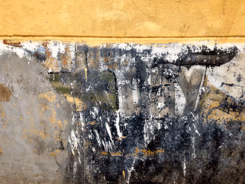 Item #77837778009088564188174628045169397065653229955612462896383264968126542905345 Media