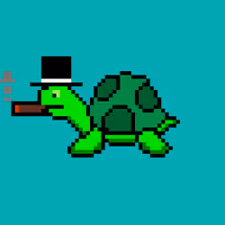 Tiny Turtle #1141