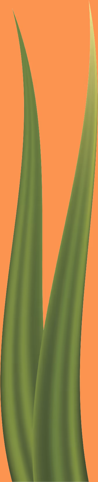 Item #78763235517899702300642317908544281341520076745003203023483946003803821572097 Media