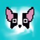 112403415384557798435522257213934428057793966294742271112762564387869739188225